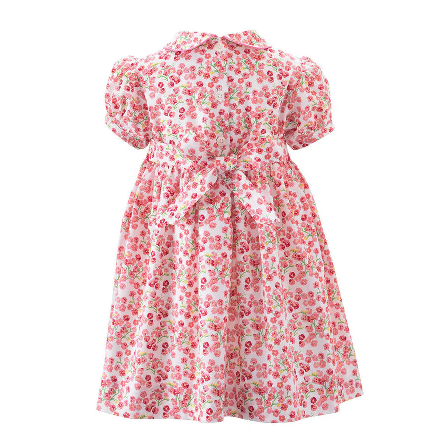 Forget-Me-Not Smocked Dress & Bloomers (12M) EUC