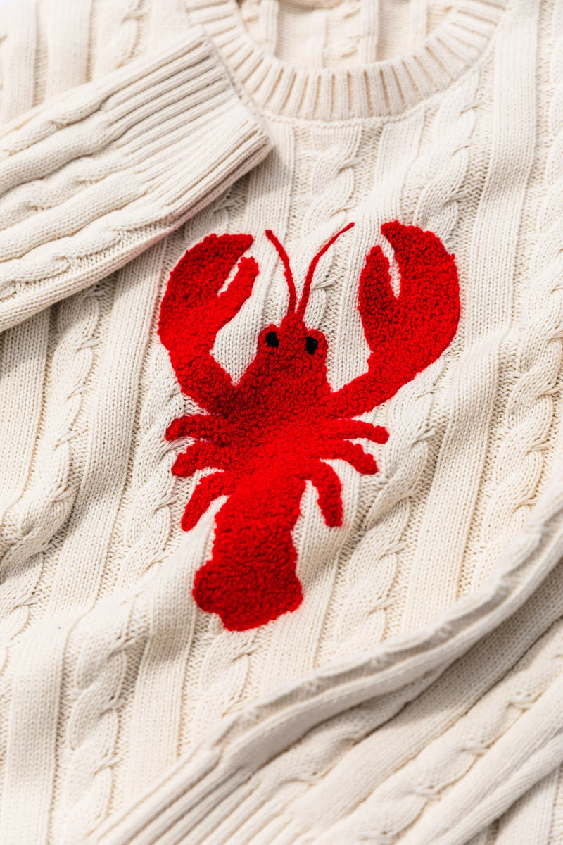 Lobster Cable Knit Kids Sweater (EUC 3T)
