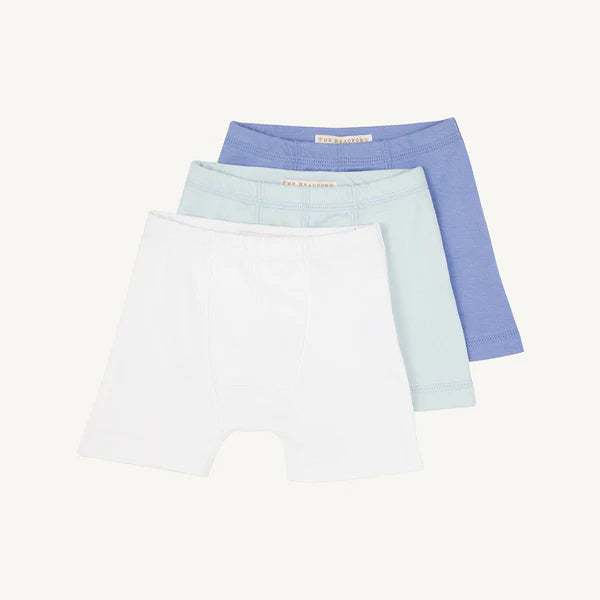 Theodore's Underthings Set (NWT 2-3T)