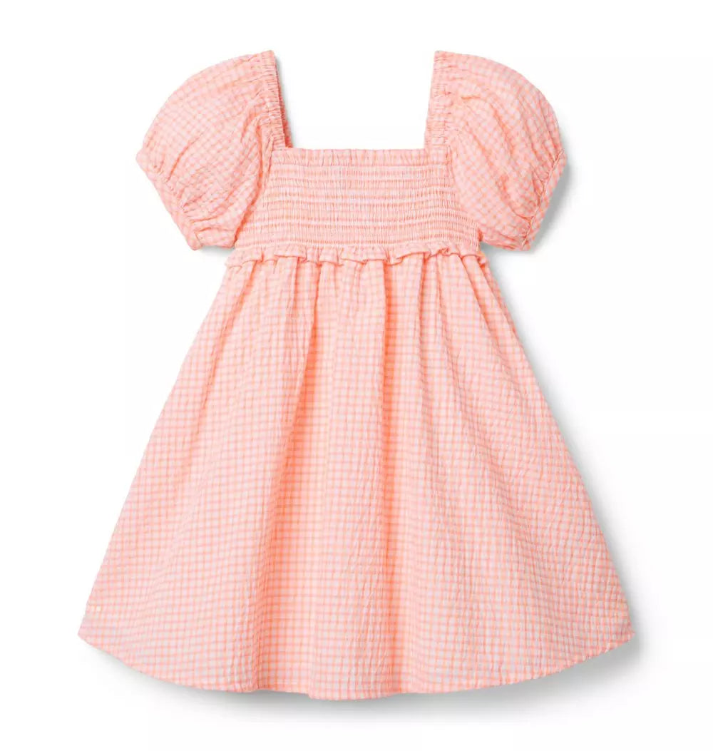 The Gingham Getaway Dress (EUC 12-18M)