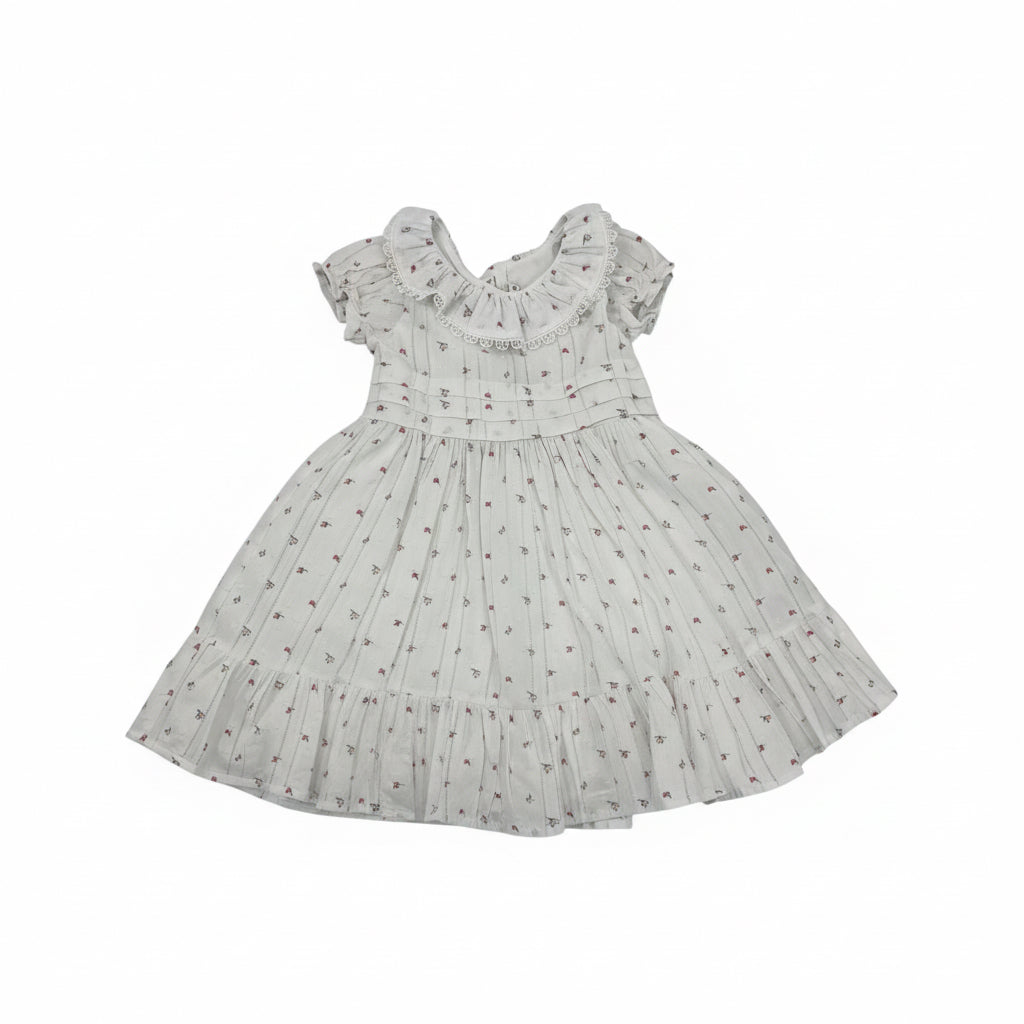 The Rosebud Dress (18-24M) EUC