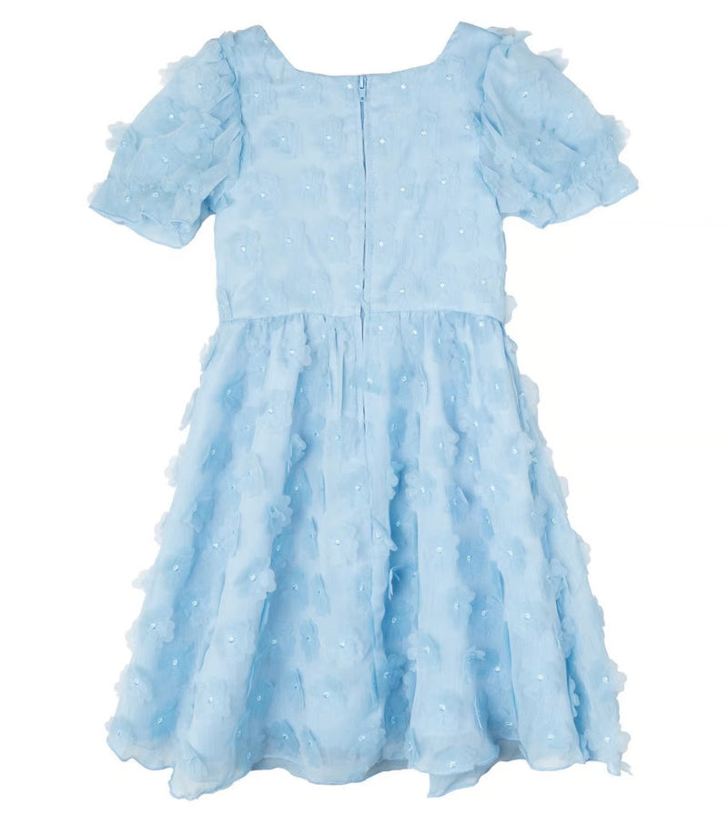 Girls 3D Floral Chiffon Dress (NWT 18M)
