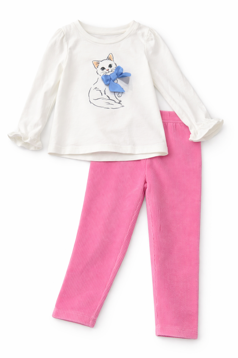 Baby Girl Shirt and Pants Set (Size: 18-24) EUC