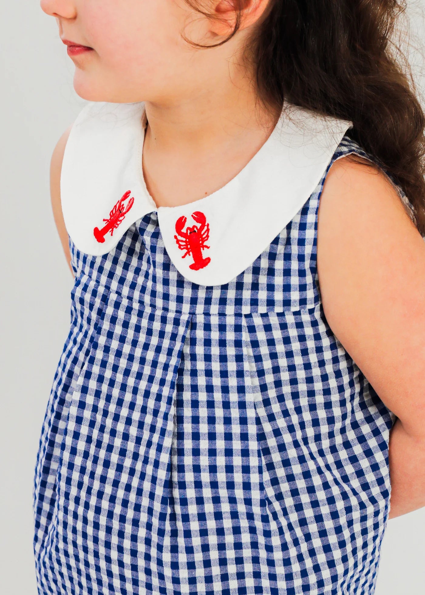 Diane Gingham Embroidered Lobster Kids Dress ( Size: 2T) NWT