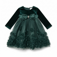 Velvet & Soutache Party Dress (Size 18M)