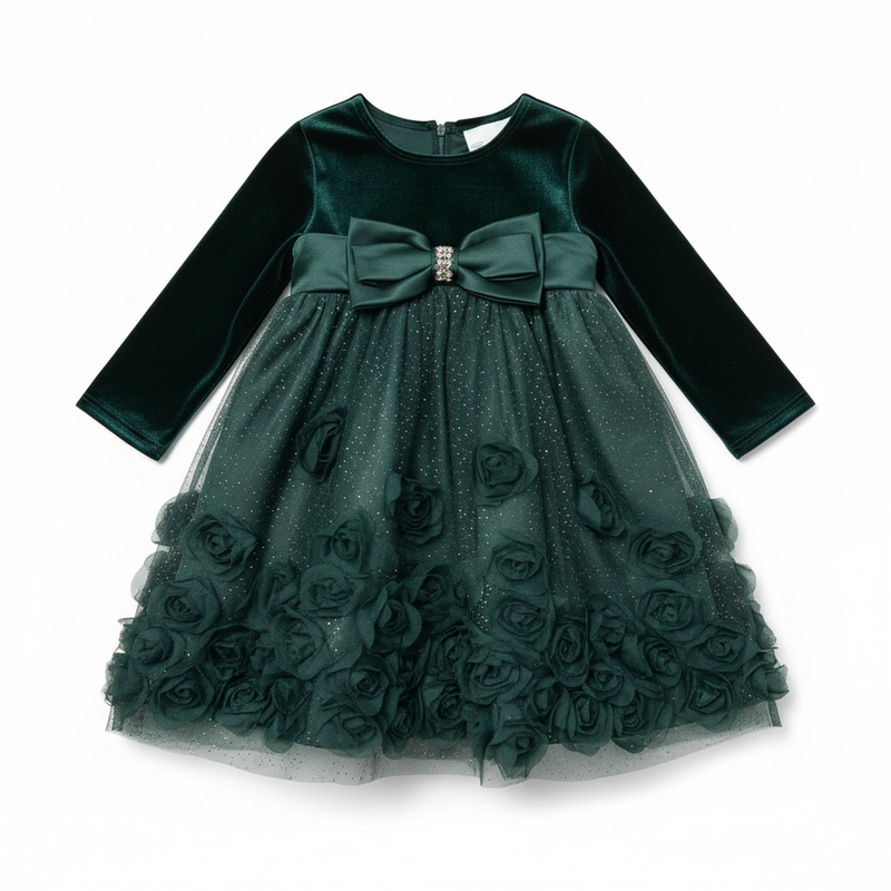 Velvet & Soutache Party Dress (Size 18M)