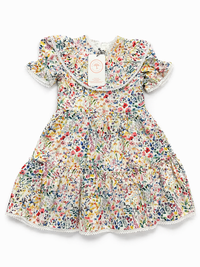 Elizabeth Girl Dress - Freida Print (Size: 2T) NWT