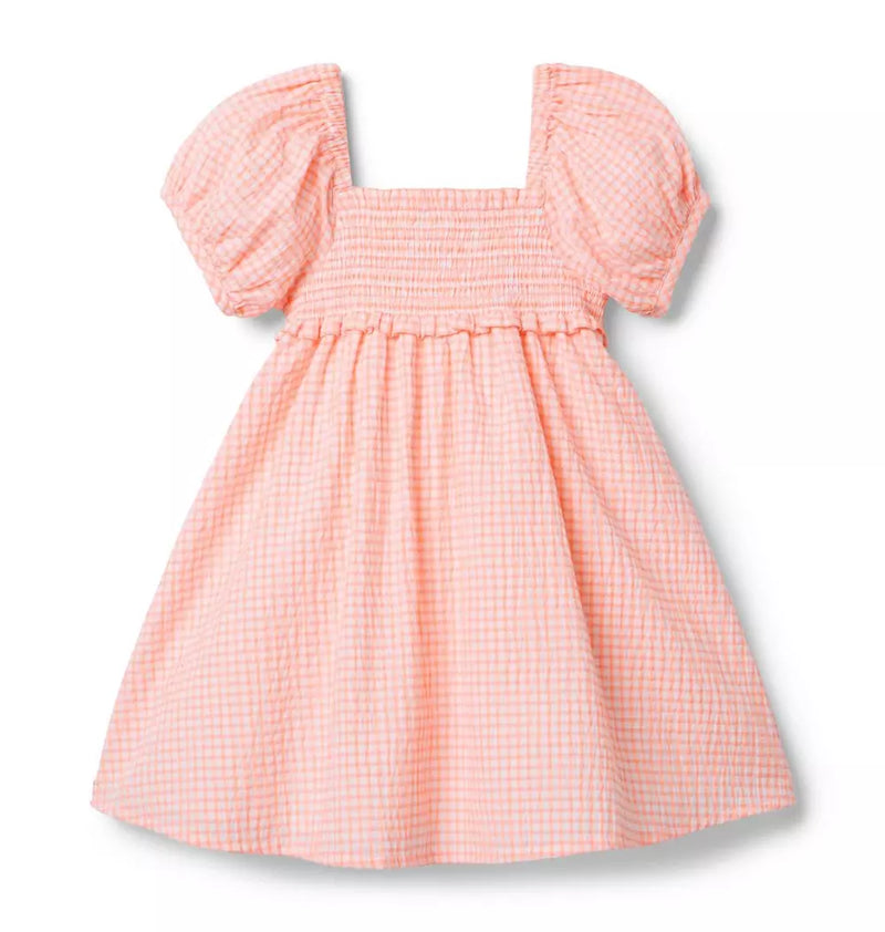 The Gingham Getaway Dress (EUC 12-18M)