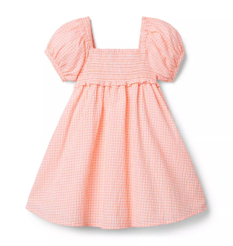 The Gingham Getaway Dress (EUC 12-18M)