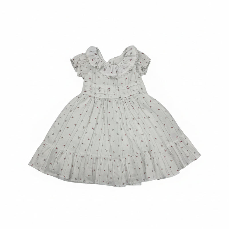 The Rosebud Dress (18-24M) EUC