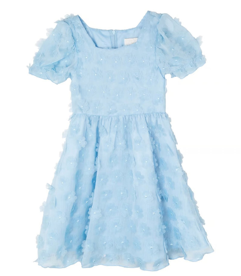 Girls 3D Floral Chiffon Dress (NWT 18M)